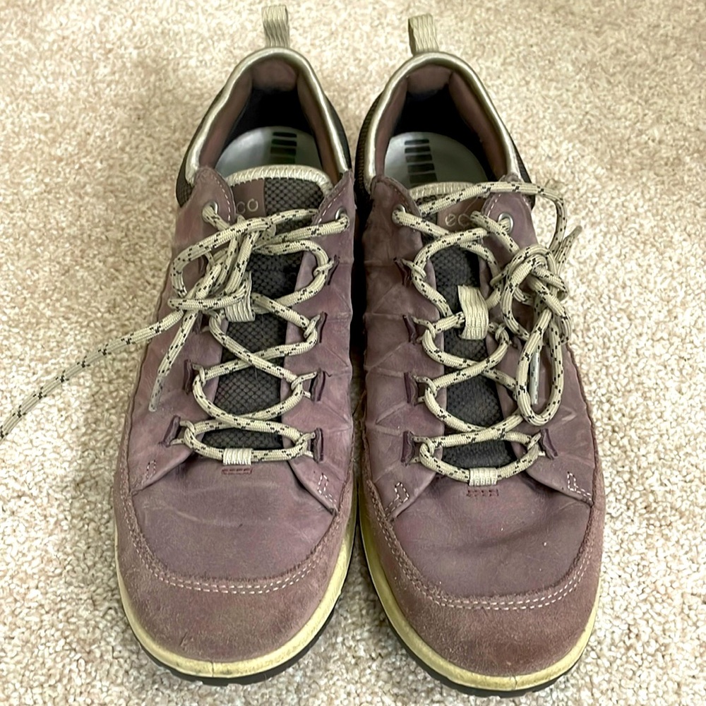 Ecco Receptor Hiking Shoes